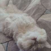 ヒメ日記 2025/10/27 06:04 投稿 いろは 脱がされたい人妻 宇都宮店