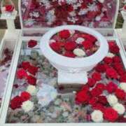 ヒメ日記 2025/10/28 05:32 投稿 いろは 脱がされたい人妻 宇都宮店