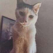 ヒメ日記 2025/10/29 05:35 投稿 いろは 脱がされたい人妻 宇都宮店