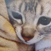 ヒメ日記 2025/11/04 05:34 投稿 いろは 脱がされたい人妻 宇都宮店