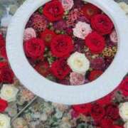 ヒメ日記 2025/11/05 06:21 投稿 いろは 脱がされたい人妻 宇都宮店