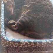 ヒメ日記 2025/11/06 05:37 投稿 いろは 脱がされたい人妻 宇都宮店