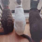 ヒメ日記 2025/11/07 05:08 投稿 いろは 脱がされたい人妻 宇都宮店