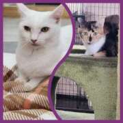 ヒメ日記 2025/11/08 19:12 投稿 いろは 脱がされたい人妻 宇都宮店