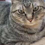 ヒメ日記 2025/11/09 18:20 投稿 いろは 脱がされたい人妻 宇都宮店