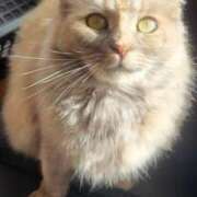 ヒメ日記 2025/11/10 16:58 投稿 いろは 脱がされたい人妻 宇都宮店