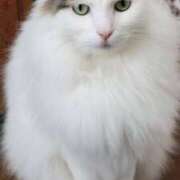 ヒメ日記 2025/11/11 06:03 投稿 いろは 脱がされたい人妻 宇都宮店