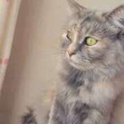 ヒメ日記 2025/11/12 05:26 投稿 いろは 脱がされたい人妻 宇都宮店