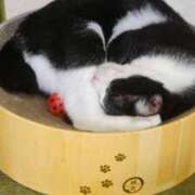 ヒメ日記 2025/11/13 05:44 投稿 いろは 脱がされたい人妻 宇都宮店