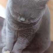 ヒメ日記 2025/11/14 06:01 投稿 いろは 脱がされたい人妻 宇都宮店