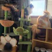 ヒメ日記 2025/11/20 05:41 投稿 いろは 脱がされたい人妻 宇都宮店