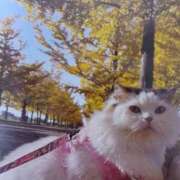 ヒメ日記 2025/11/21 05:47 投稿 いろは 脱がされたい人妻 宇都宮店