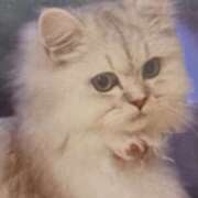 ヒメ日記 2025/11/23 05:53 投稿 いろは 脱がされたい人妻 宇都宮店