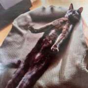 ヒメ日記 2025/11/24 05:25 投稿 いろは 脱がされたい人妻 宇都宮店