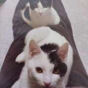 ヒメ日記 2025/11/25 05:54 投稿 いろは 脱がされたい人妻 宇都宮店