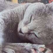 ヒメ日記 2025/11/28 06:12 投稿 いろは 脱がされたい人妻 宇都宮店