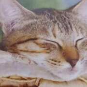 ヒメ日記 2025/12/06 05:40 投稿 いろは 脱がされたい人妻 宇都宮店