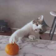 いろは 🍊おはようございます(=^ェ^=)🍊 脱がされたい人妻 宇都宮店