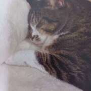 いろは おはようございます(=^ェ^=) 脱がされたい人妻 宇都宮店