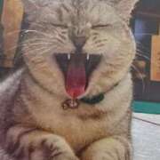 いろは おはようございます(=^ェ^=)💛 脱がされたい人妻 宇都宮店