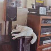 いろは おはようございます(=^ェ^=)💚 脱がされたい人妻 宇都宮店