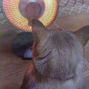 いろは おはようございます(=^ェ^=)❄️ 脱がされたい人妻 宇都宮店