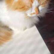 ヒメ日記 2025/12/20 05:30 投稿 いろは 脱がされたい人妻 宇都宮店