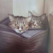 ヒメ日記 2025/12/23 05:31 投稿 いろは 脱がされたい人妻 宇都宮店