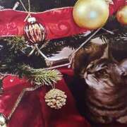 ヒメ日記 2025/12/24 05:25 投稿 いろは 脱がされたい人妻 宇都宮店