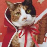 ヒメ日記 2025/12/25 04:56 投稿 いろは 脱がされたい人妻 宇都宮店