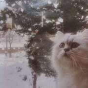 ヒメ日記 2025/12/27 05:31 投稿 いろは 脱がされたい人妻 宇都宮店