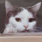 ヒメ日記 2026/01/04 21:23 投稿 いろは 脱がされたい人妻 宇都宮店