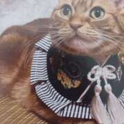 ヒメ日記 2026/01/05 21:36 投稿 いろは 脱がされたい人妻 宇都宮店