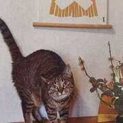 ヒメ日記 2026/01/06 06:11 投稿 いろは 脱がされたい人妻 宇都宮店