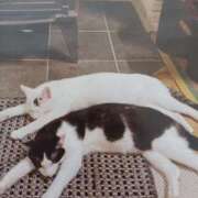 ヒメ日記 2026/01/09 05:23 投稿 いろは 脱がされたい人妻 宇都宮店