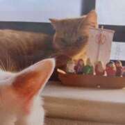 ヒメ日記 2026/01/13 05:28 投稿 いろは 脱がされたい人妻 宇都宮店