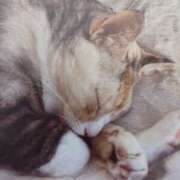 ヒメ日記 2026/01/14 06:15 投稿 いろは 脱がされたい人妻 宇都宮店