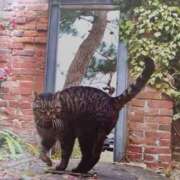 ヒメ日記 2026/01/16 05:28 投稿 いろは 脱がされたい人妻 宇都宮店