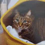 ヒメ日記 2026/01/17 05:28 投稿 いろは 脱がされたい人妻 宇都宮店