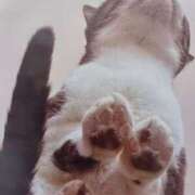 ヒメ日記 2026/01/18 06:01 投稿 いろは 脱がされたい人妻 宇都宮店