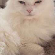 ヒメ日記 2026/01/21 05:20 投稿 いろは 脱がされたい人妻 宇都宮店