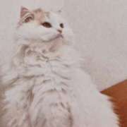 ヒメ日記 2026/01/22 05:00 投稿 いろは 脱がされたい人妻 宇都宮店