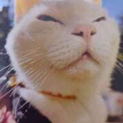 ヒメ日記 2026/01/23 05:01 投稿 いろは 脱がされたい人妻 宇都宮店