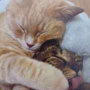 ヒメ日記 2026/01/24 05:16 投稿 いろは 脱がされたい人妻 宇都宮店