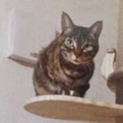 ヒメ日記 2026/01/25 07:07 投稿 いろは 脱がされたい人妻 宇都宮店