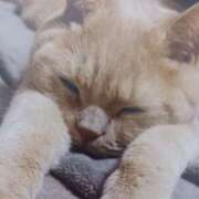 ヒメ日記 2026/01/31 05:10 投稿 いろは 脱がされたい人妻 宇都宮店