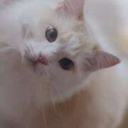 ヒメ日記 2026/02/01 05:29 投稿 いろは 脱がされたい人妻 宇都宮店