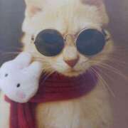 ヒメ日記 2026/02/03 08:20 投稿 いろは 脱がされたい人妻 宇都宮店