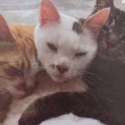 ヒメ日記 2026/02/06 04:56 投稿 いろは 脱がされたい人妻 宇都宮店