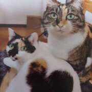 ヒメ日記 2026/02/11 05:58 投稿 いろは 脱がされたい人妻 宇都宮店